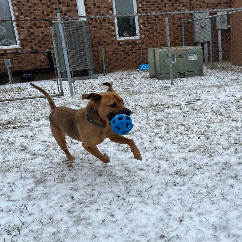 Blame Me For Your thumbnail 3