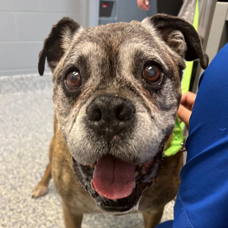 Jack Skellington thumbnail 2