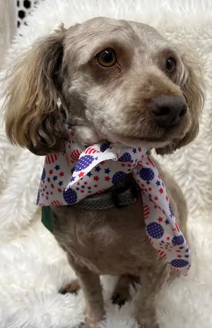 Athena Awestruck ~ Local thumbnail 2