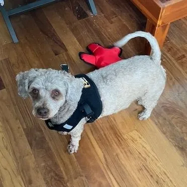 Athena Awestruck ~ Local thumbnail 3