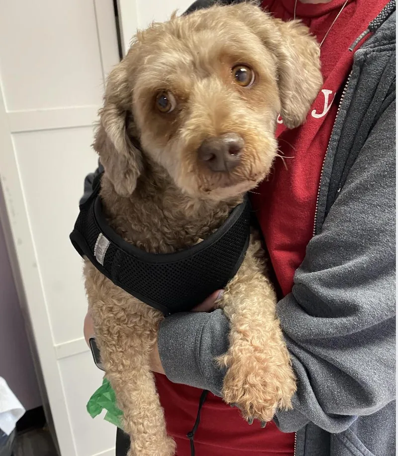 Athena Awestruck ~ Local thumbnail 4