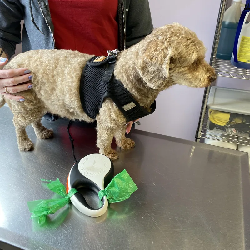 Athena Awestruck ~ Local thumbnail 5