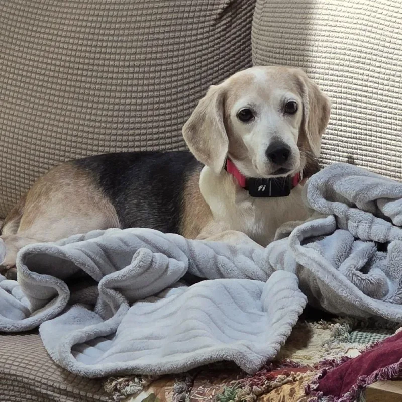 Winnie D