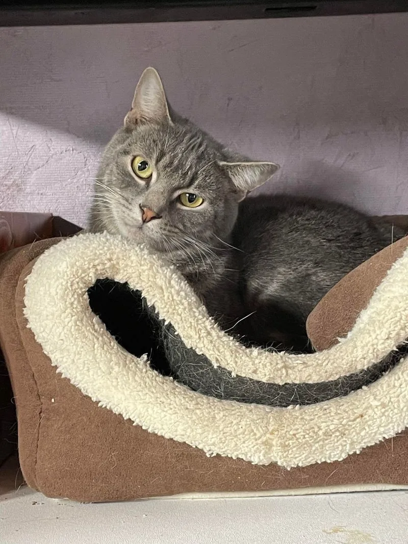 Buster Jones thumbnail 2