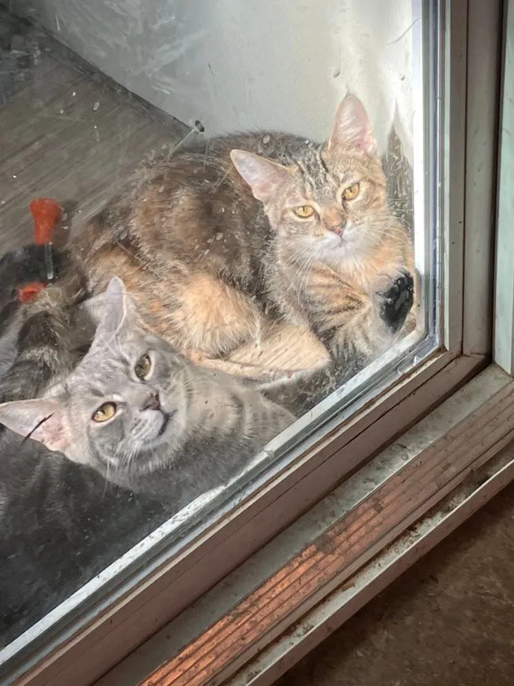 Buster Jones thumbnail 3