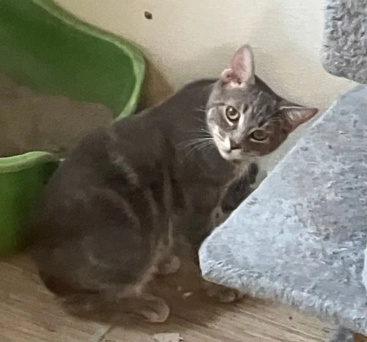 Buster Jones thumbnail 4