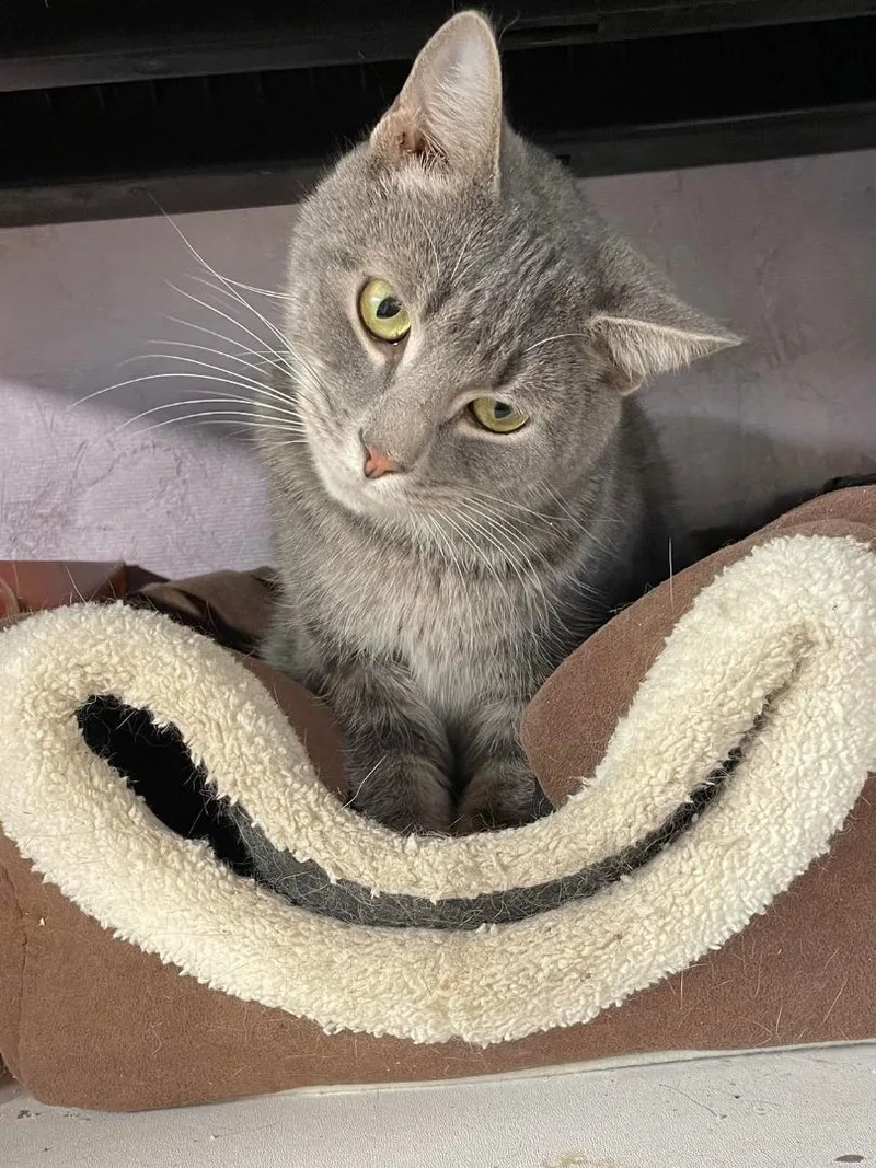 Buster Jones thumbnail 5