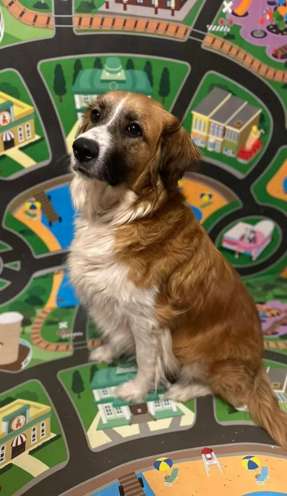 Maggie