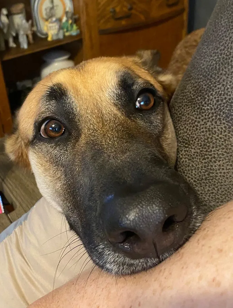 Charlie Bean thumbnail 4