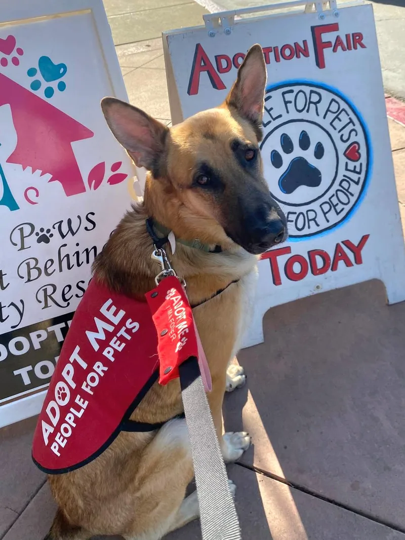 Charlie Bean thumbnail 5