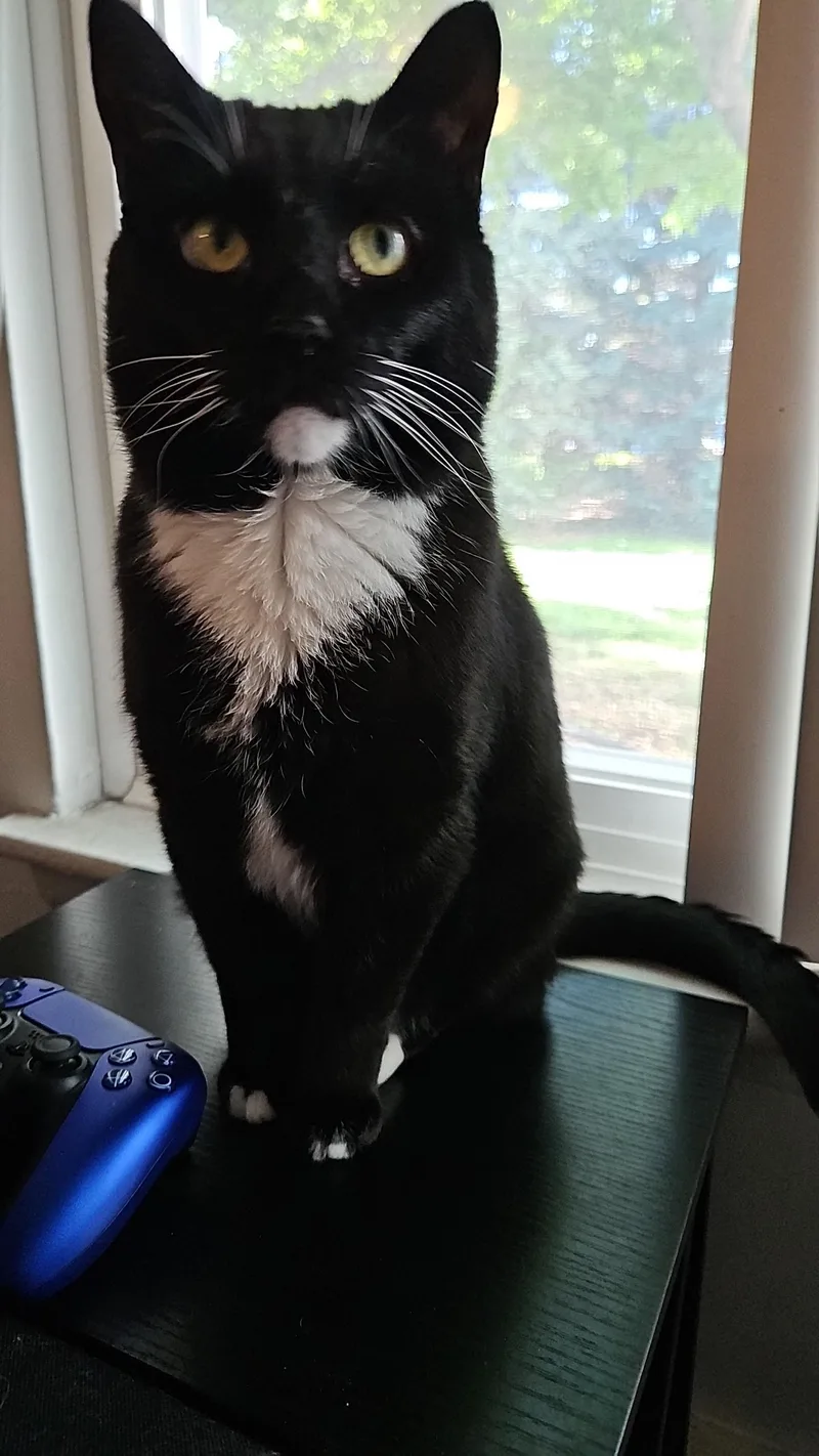 Henry  loves to thumbnail 3