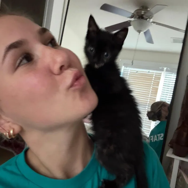 Elsie thumbnail 4