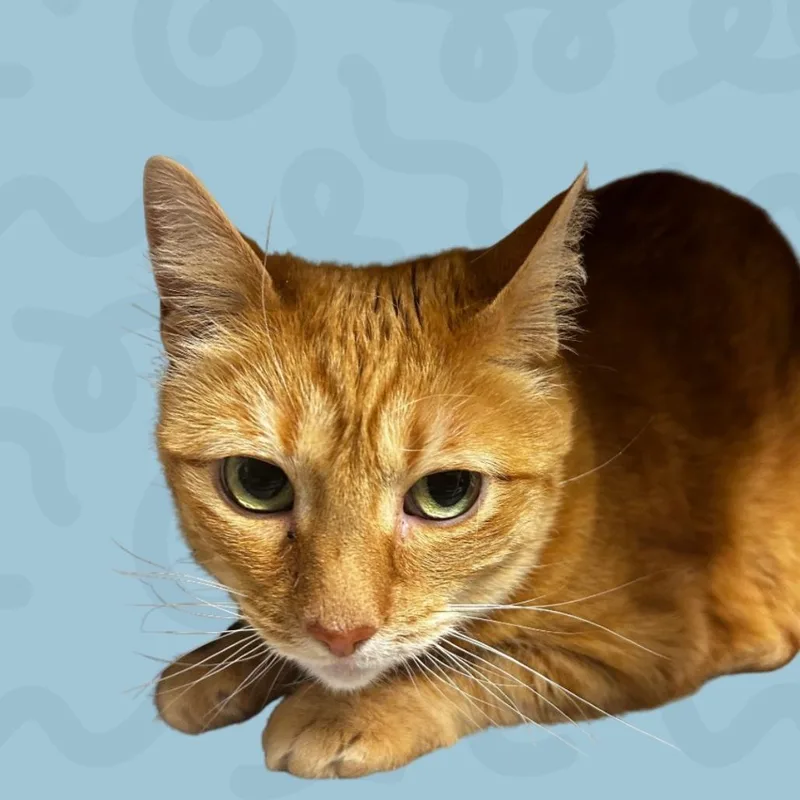 Happy thumbnail 2