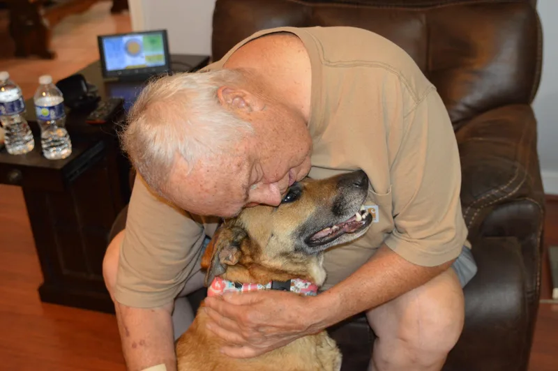 Venus Crate & Potty thumbnail 4