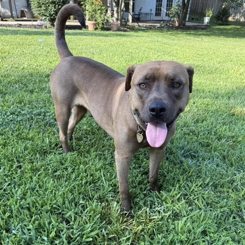 Miss Lily A thumbnail 6