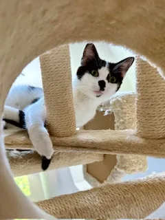 Misha thumbnail 2