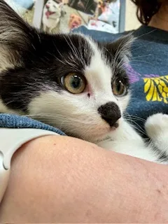 Misha thumbnail 4