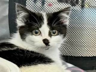 Misha thumbnail 5
