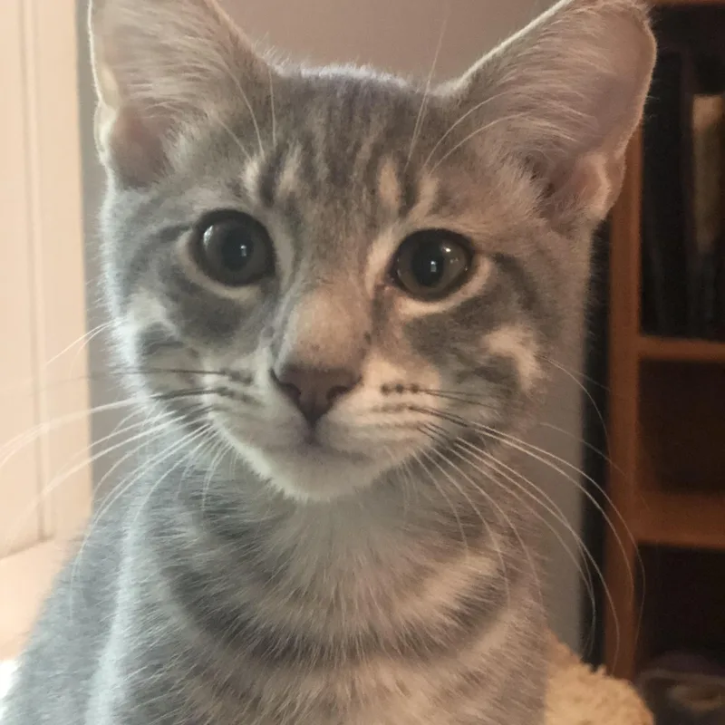 Bernie