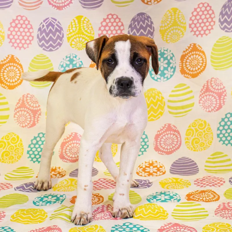 Fizzy Bubbles thumbnail 2