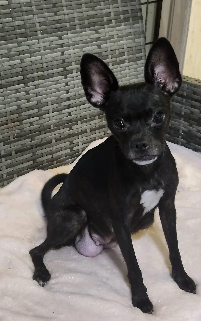 DaisyMae thumbnail 2