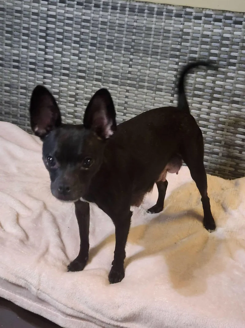 DaisyMae thumbnail 3