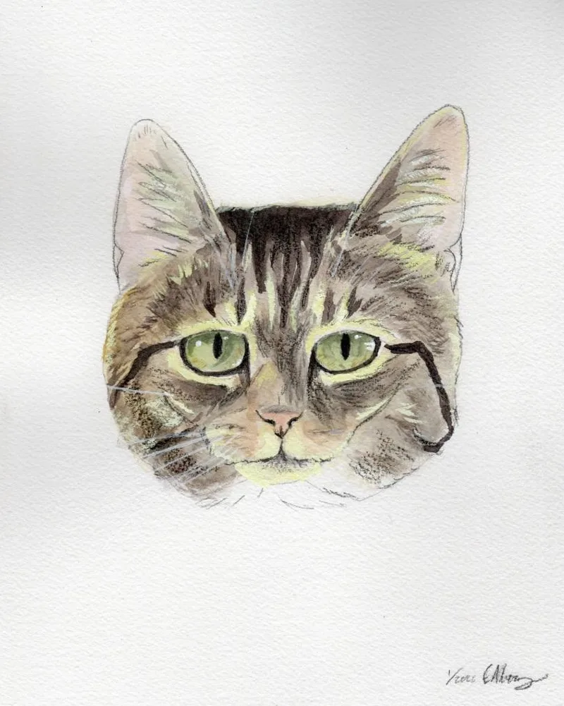 Albert & Freddie thumbnail 5