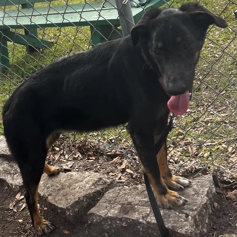 Brooklynn thumbnail 2