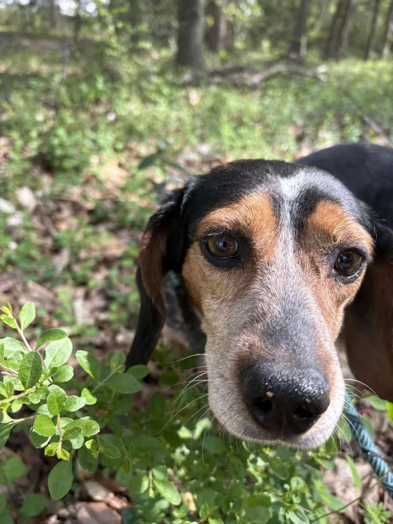 Wanna Race thumbnail 2