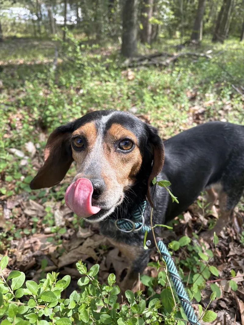 Wanna Race thumbnail 3