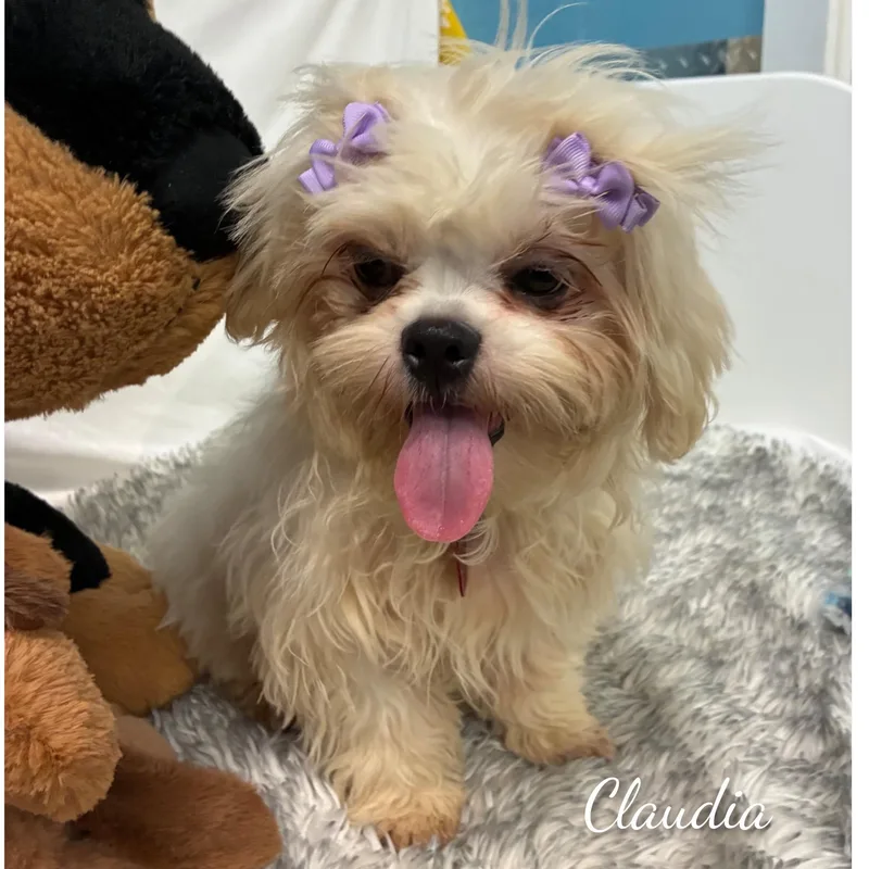 Claudia thumbnail 2