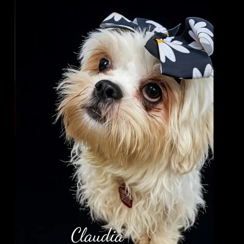 Claudia thumbnail 3