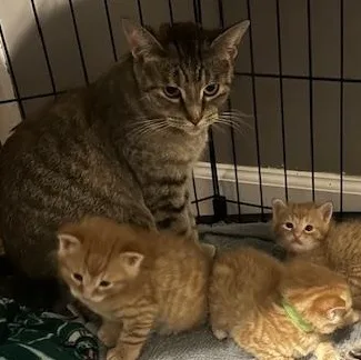 Taylor Dw thumbnail 2