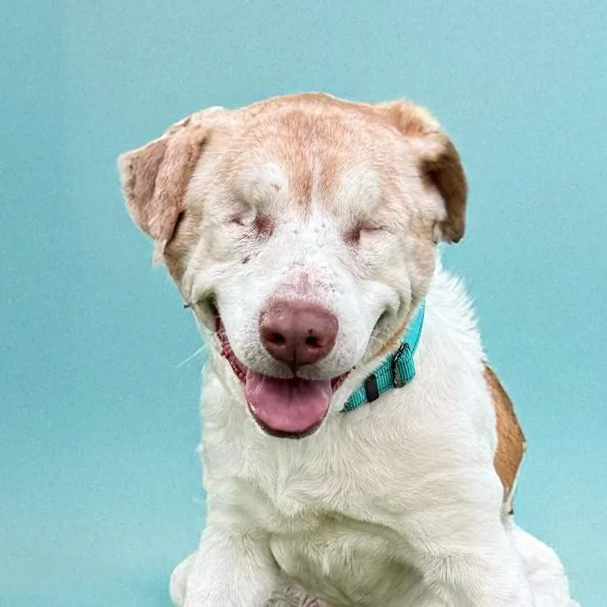 Garfield thumbnail 2