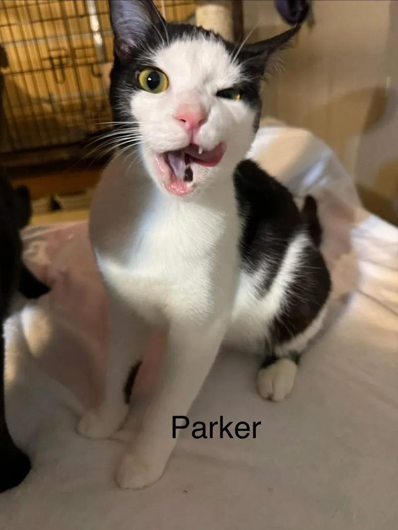 Parker