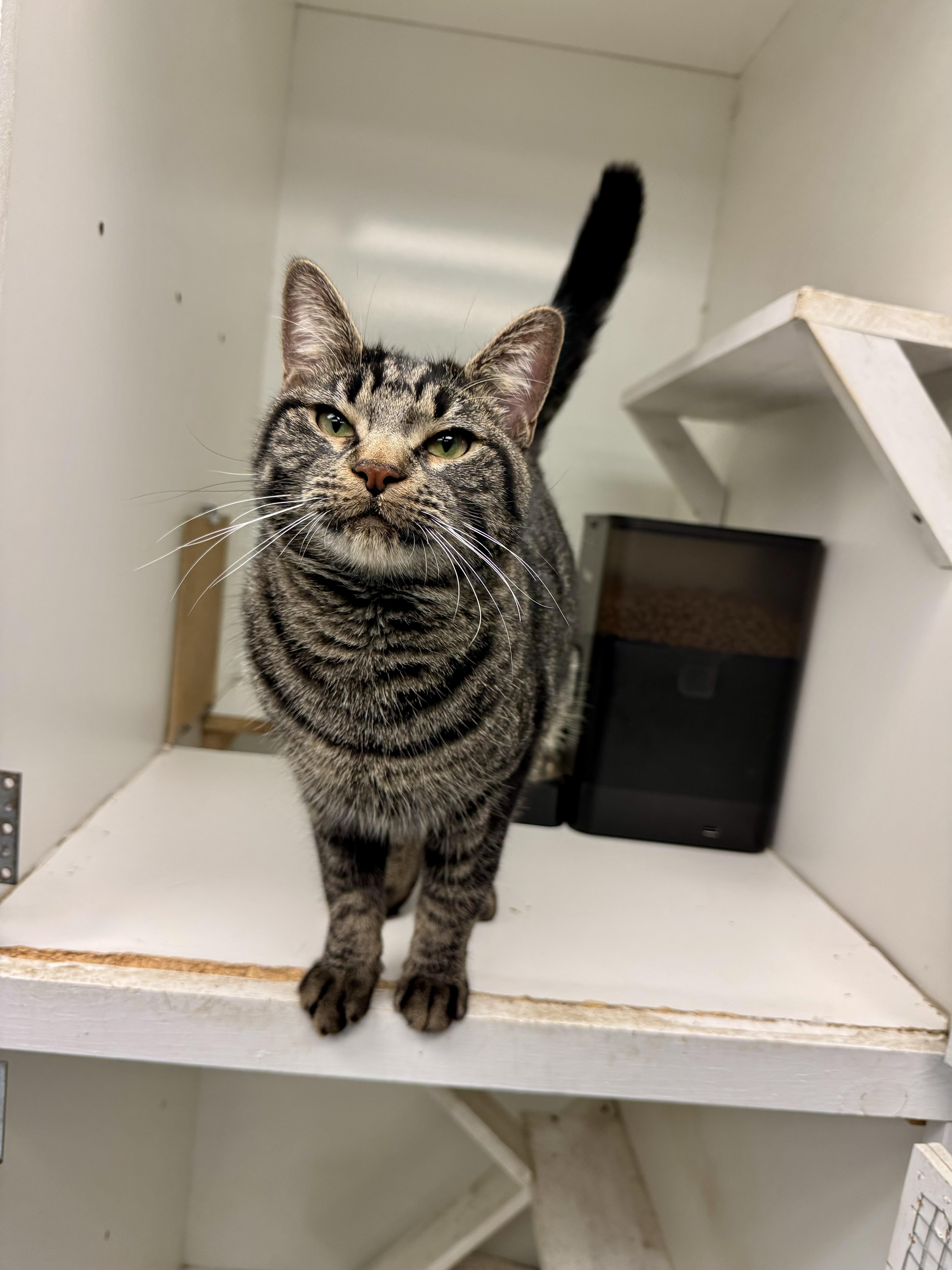 Dr. Robbie thumbnail 2