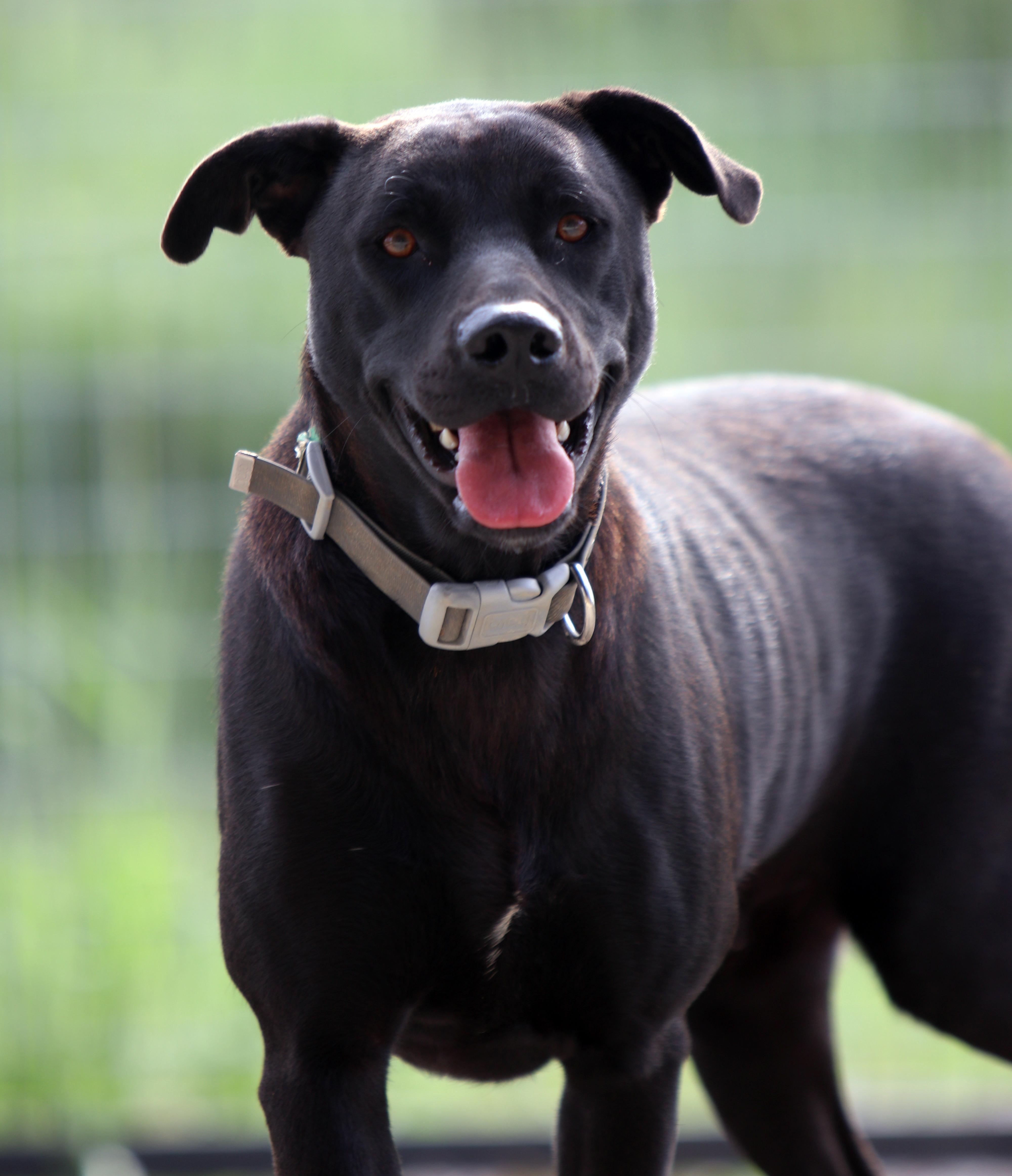 Charlotte thumbnail 2