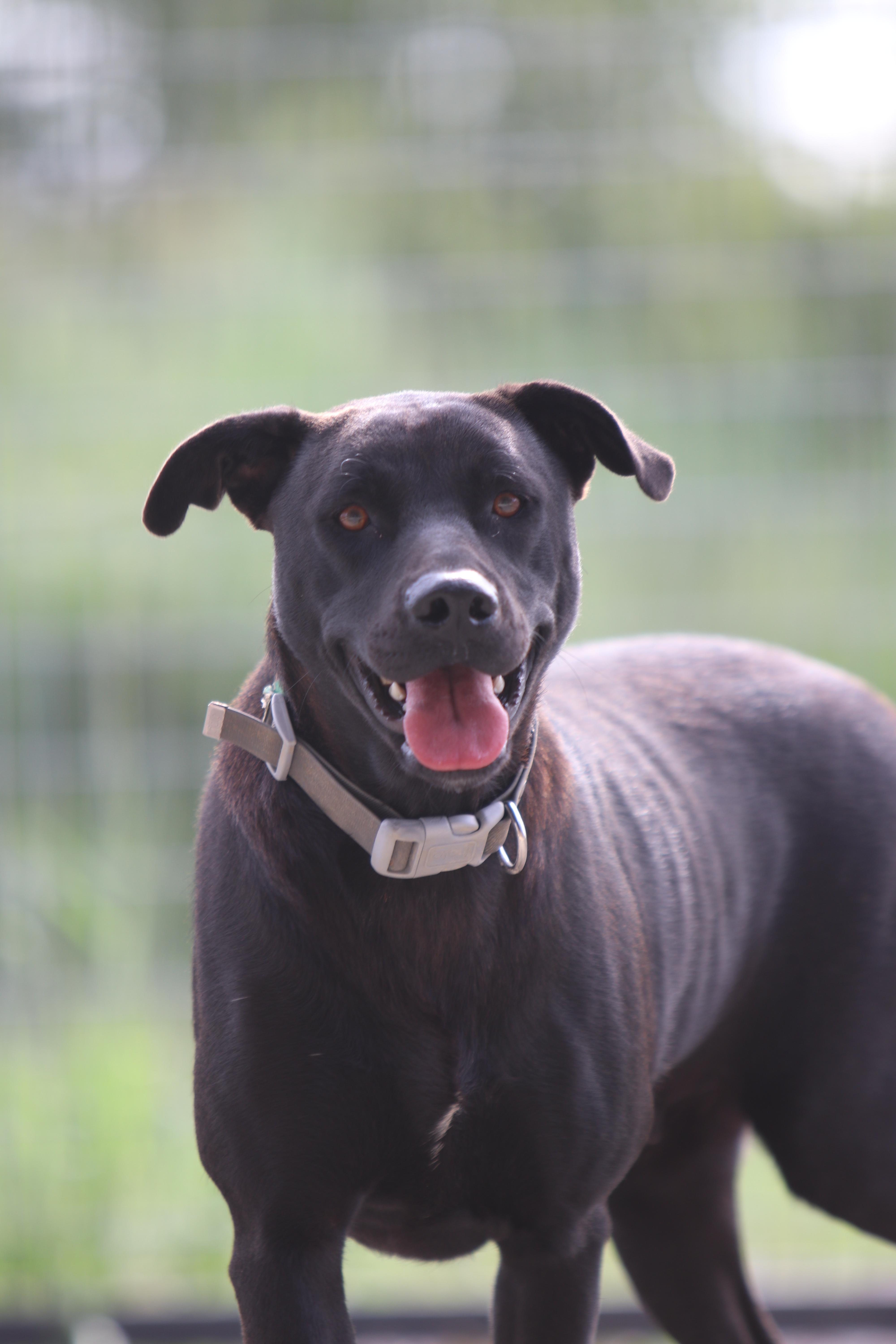 Charlotte thumbnail 3