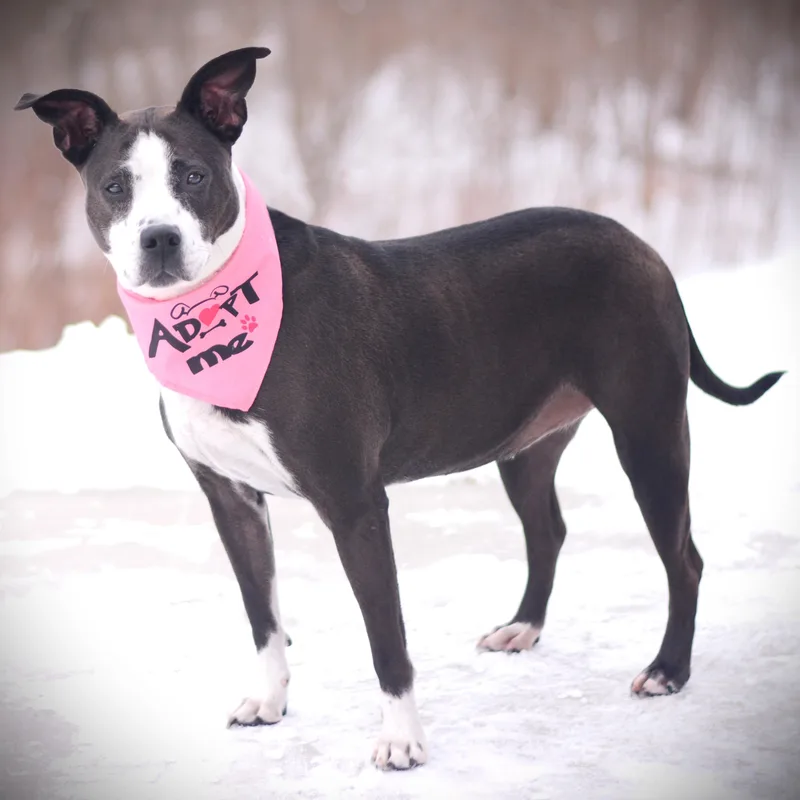 Caroline thumbnail 2