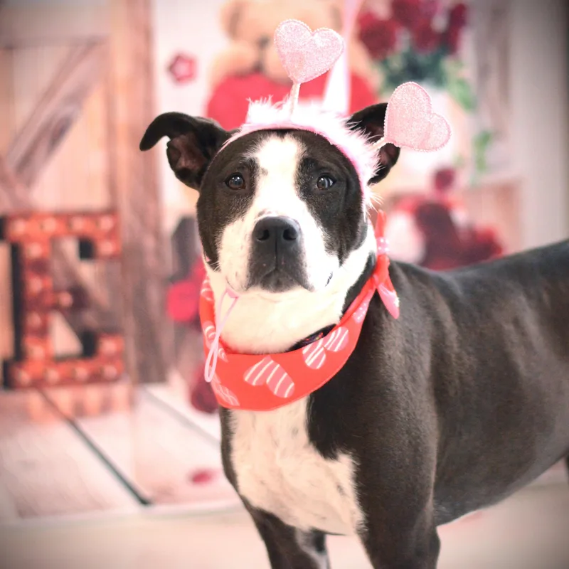 Caroline thumbnail 4