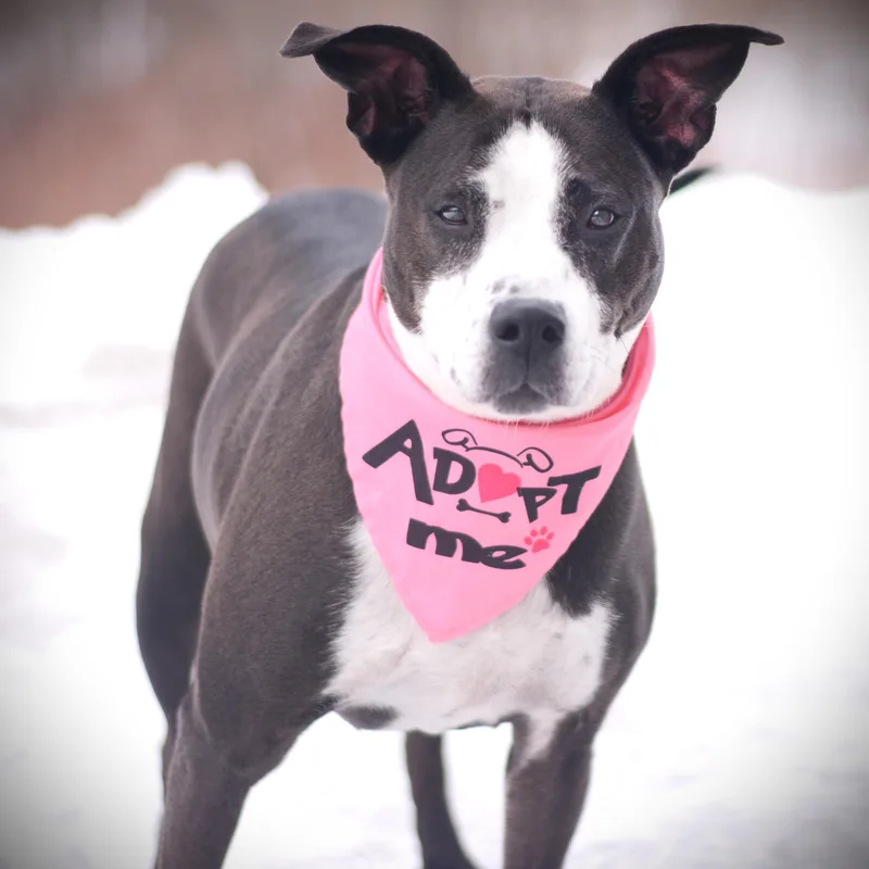 Caroline thumbnail 5