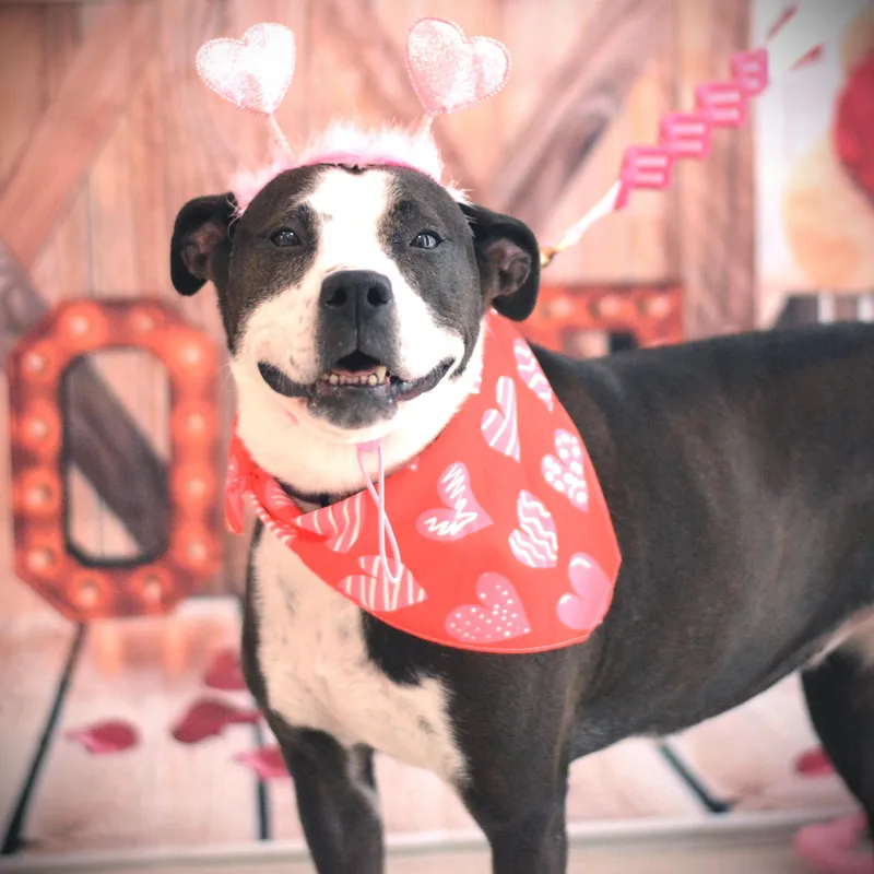 Caroline thumbnail 6