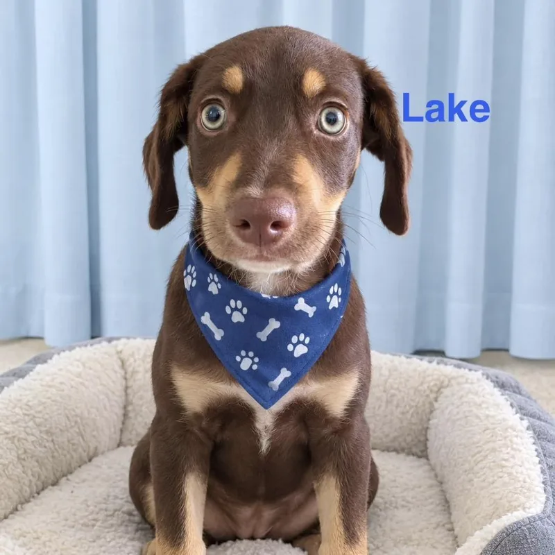 Lake thumbnail 2