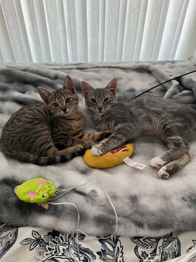 Cleo  And Moss thumbnail 2