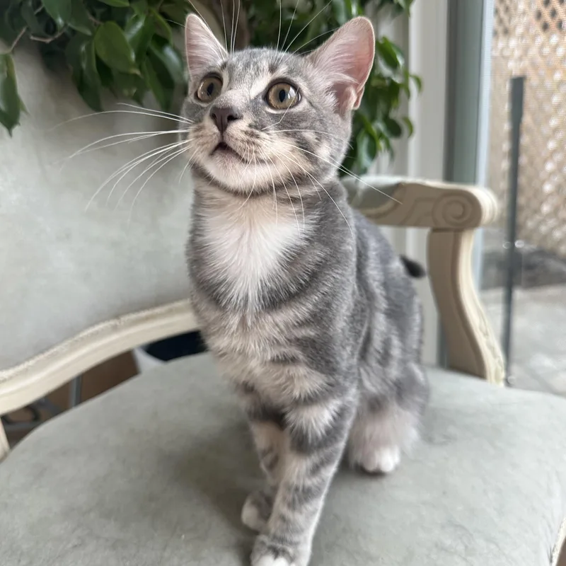 Cleo  And Moss thumbnail 3