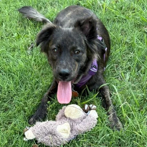 Skye