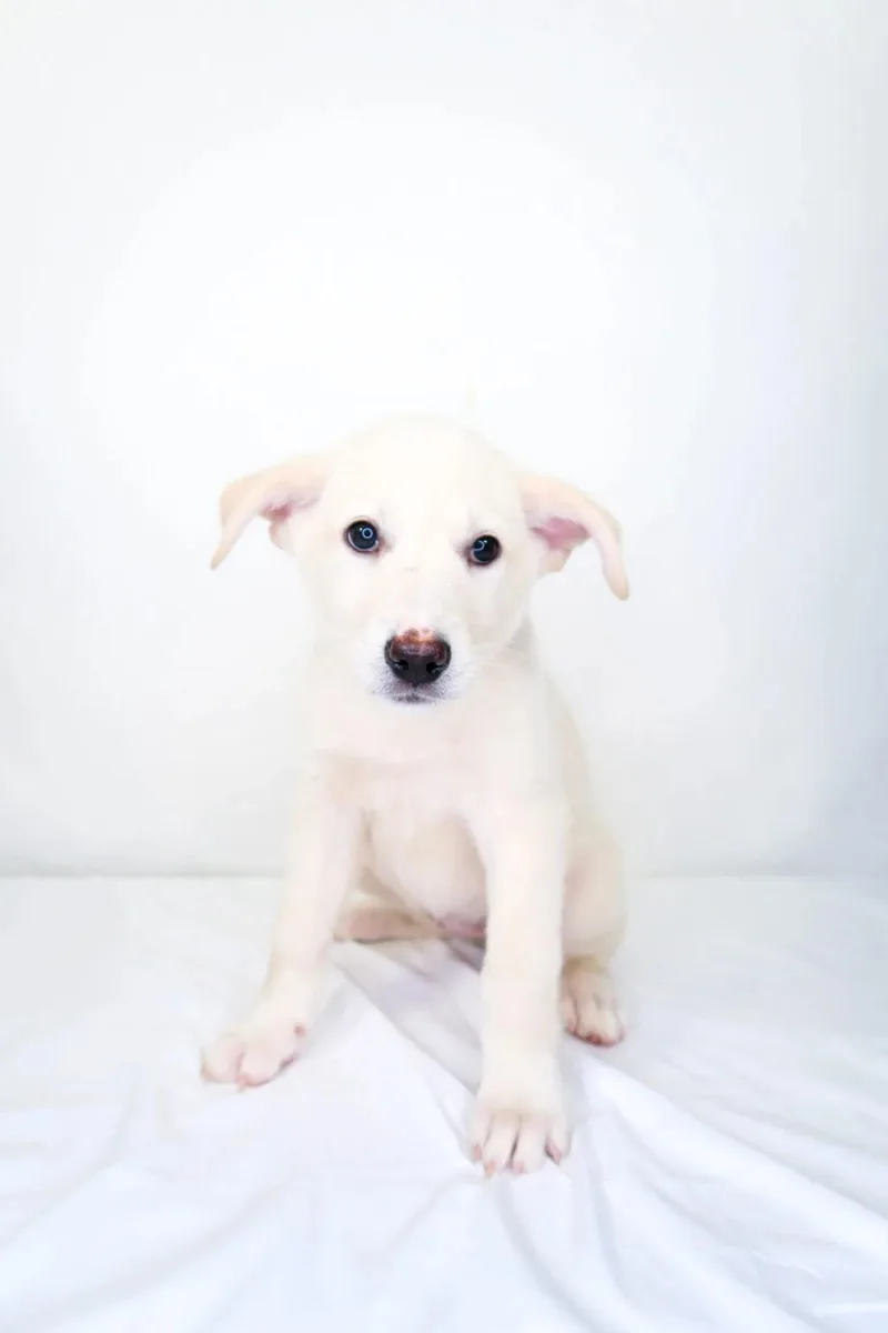May Belle thumbnail 2