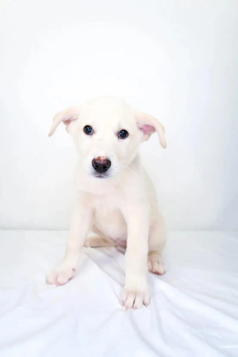 May Belle thumbnail 3