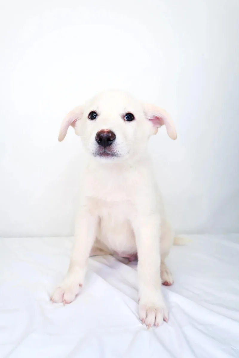 May Belle thumbnail 4