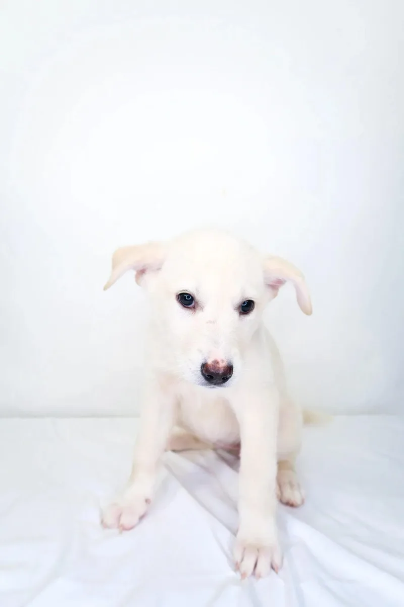 May Belle thumbnail 5